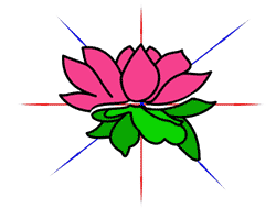 Lotusblüte